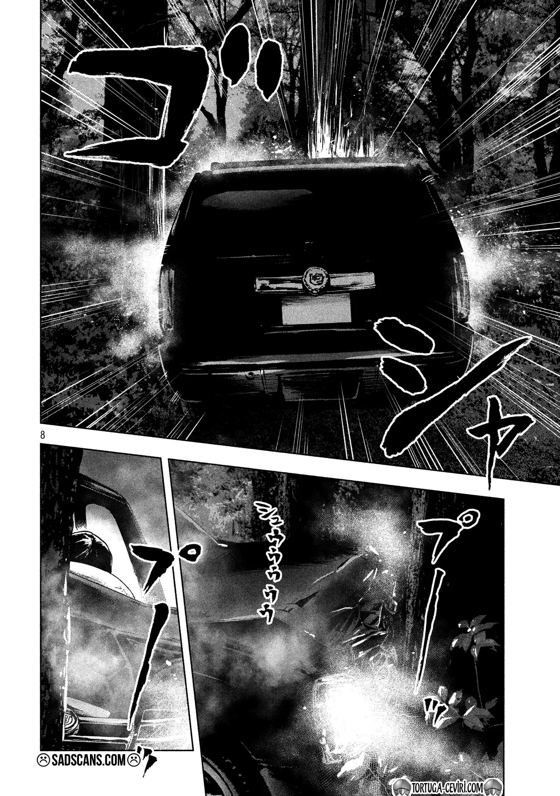 Sayfa 8