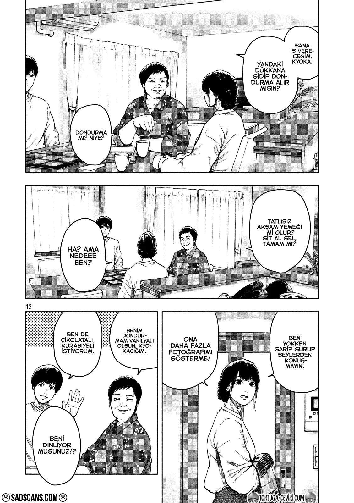 Sayfa 13