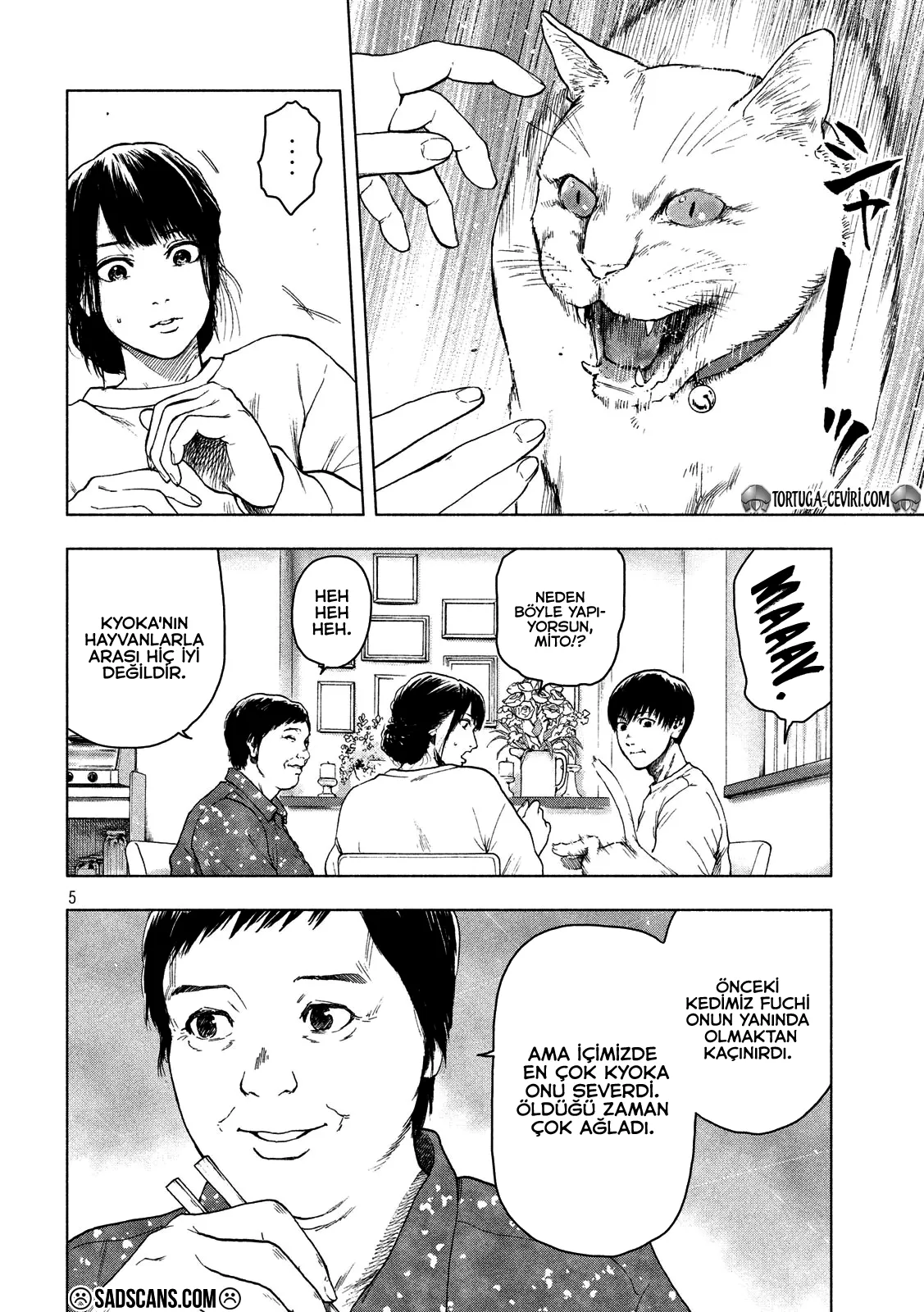Sayfa 5