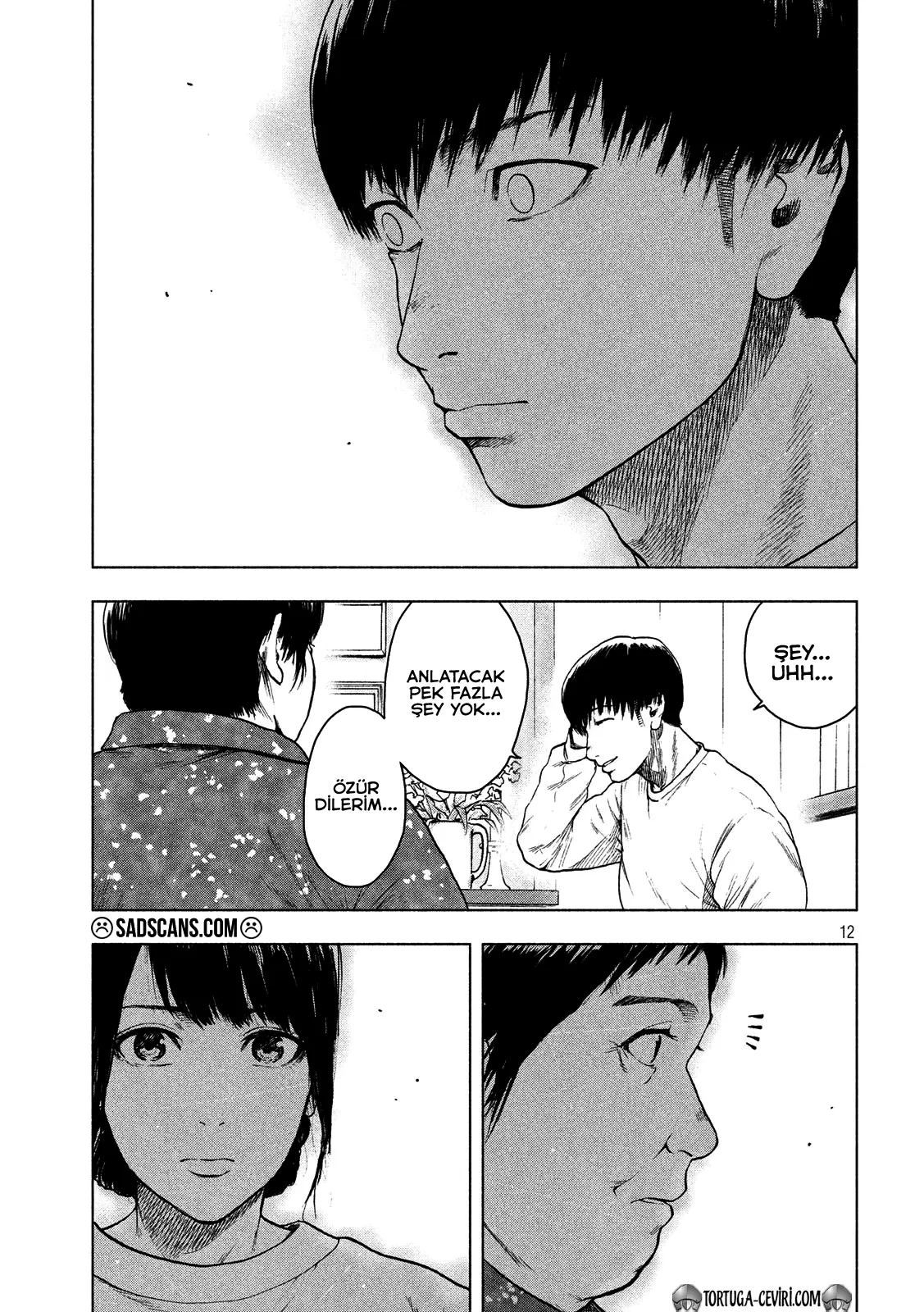 Sayfa 12