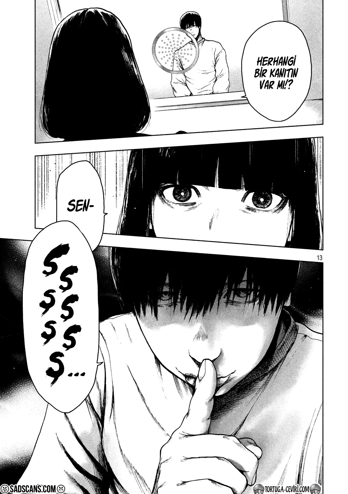 Sayfa 13