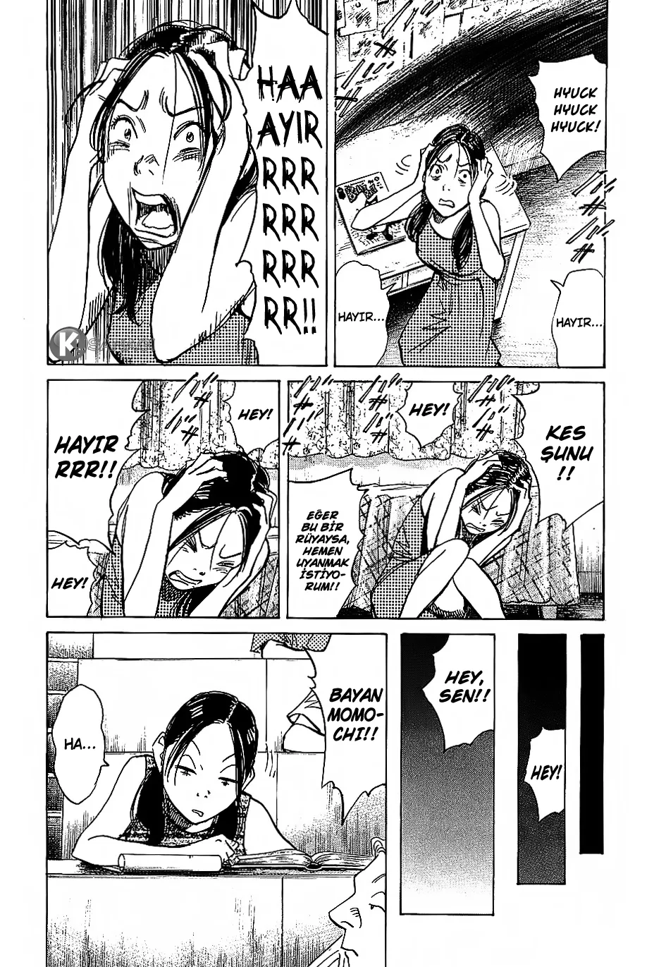 Sayfa 13