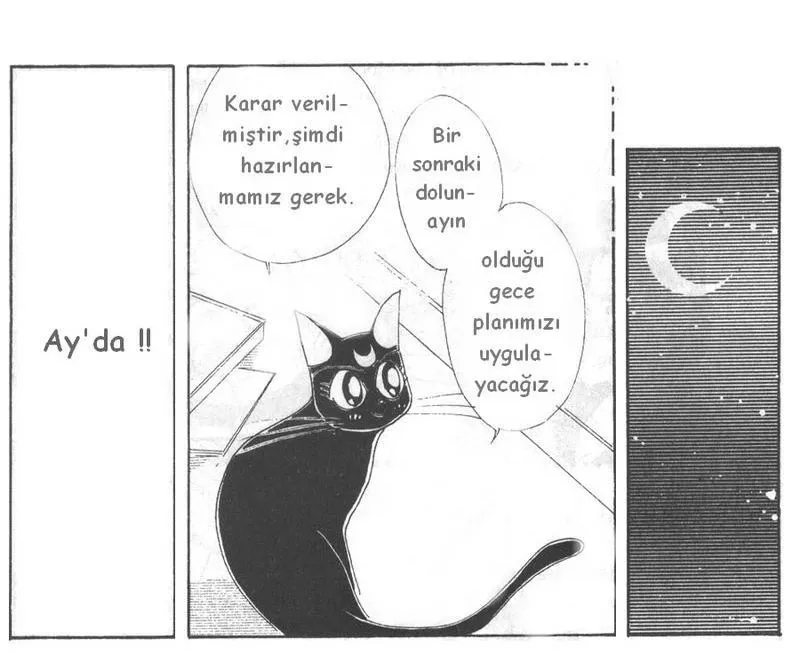 Sayfa 4