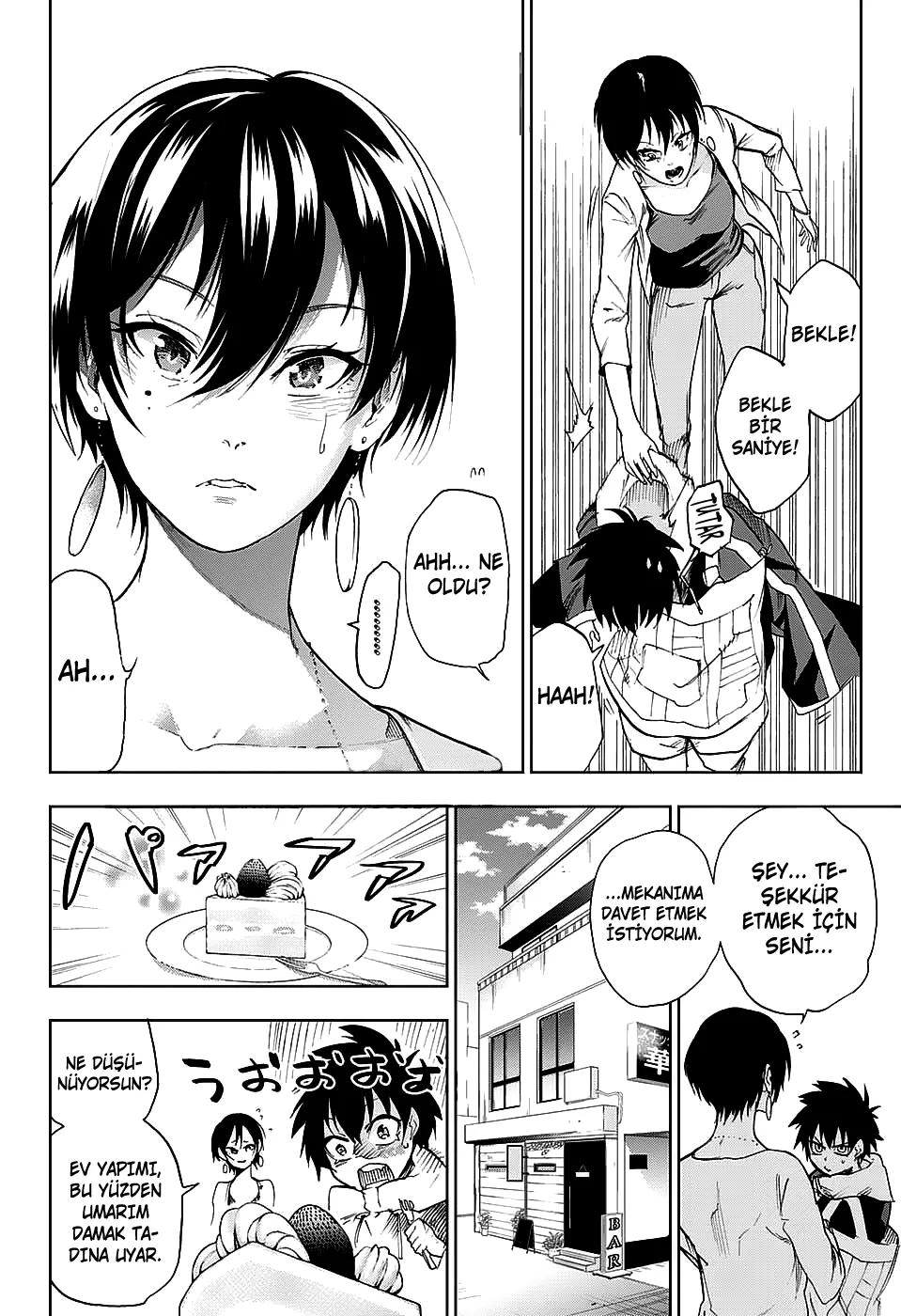 Sayfa 13