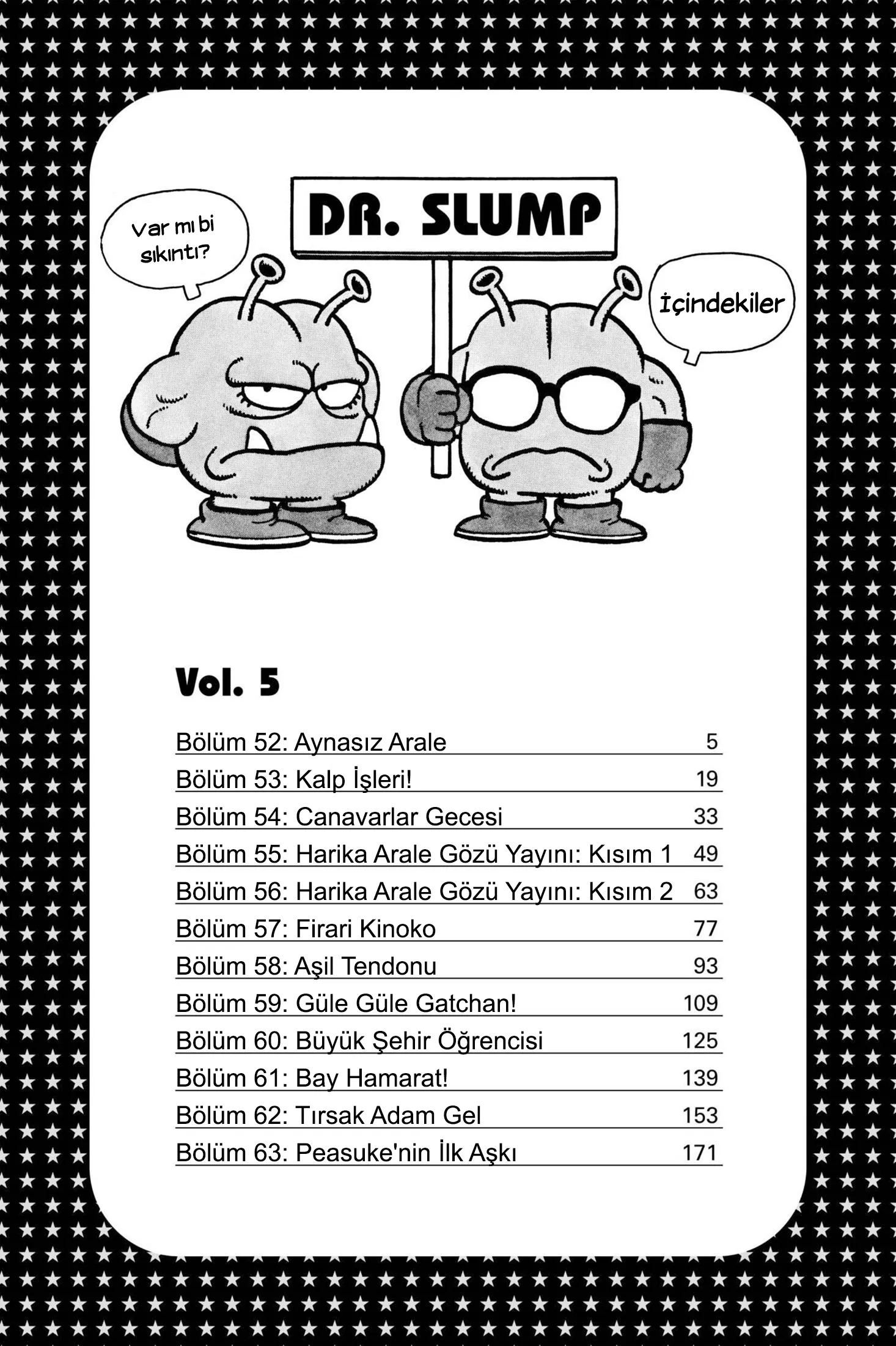 Sayfa 5