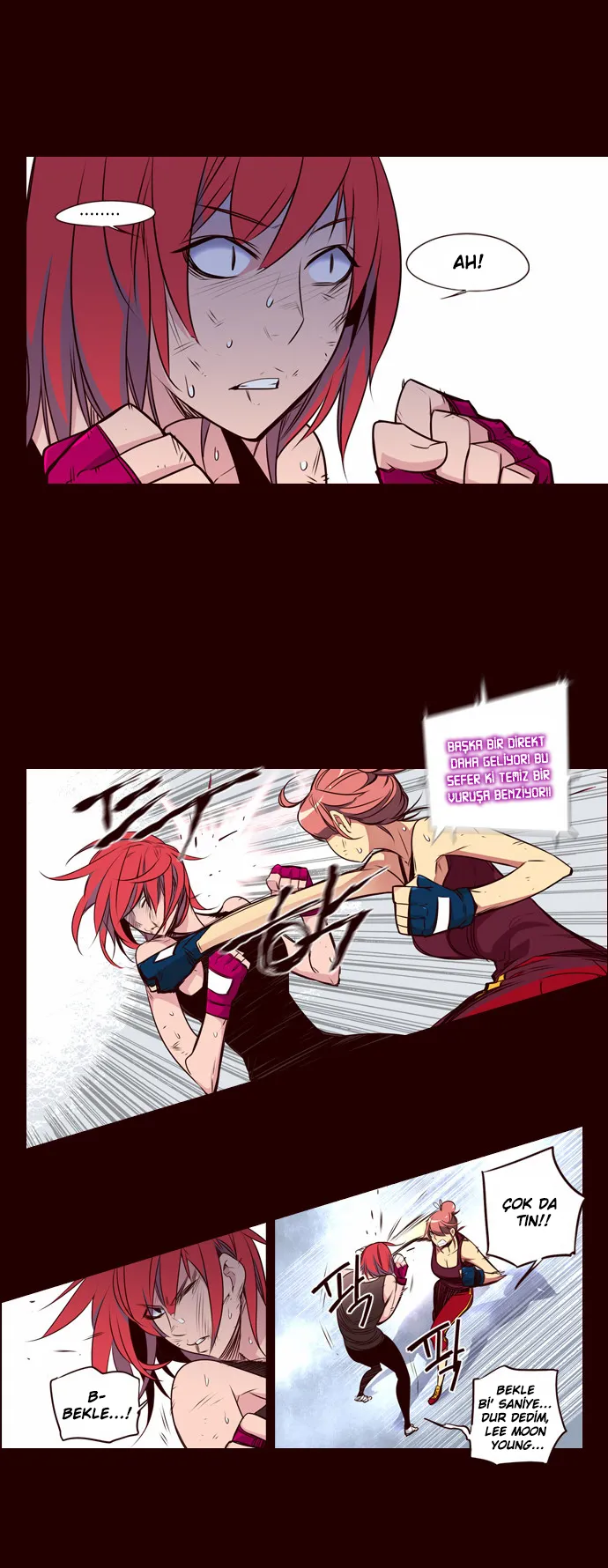 Sayfa 13