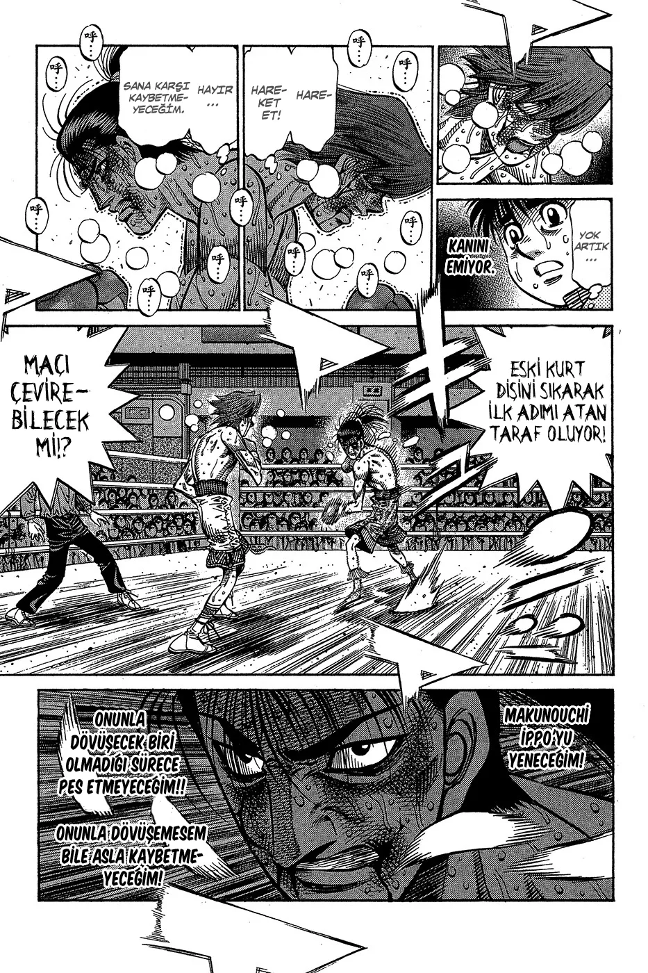 Sayfa 13