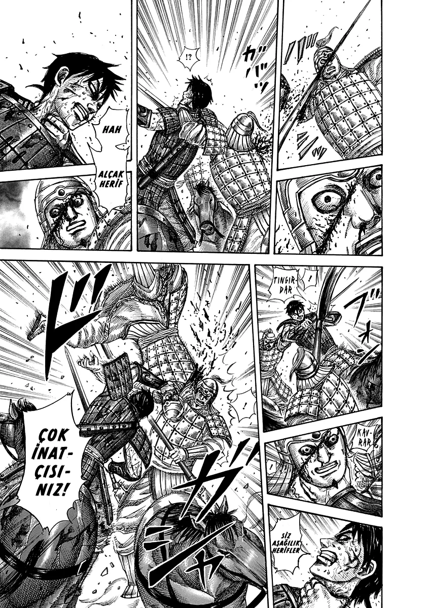 Sayfa 17