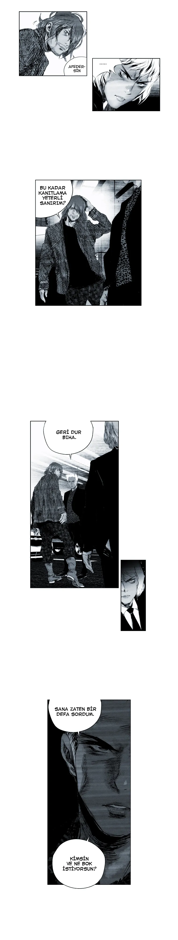 Sayfa 13