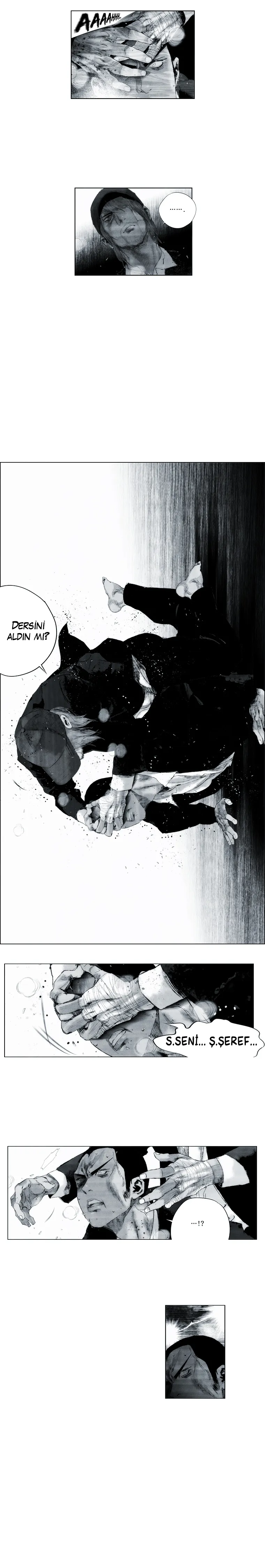 Sayfa 12