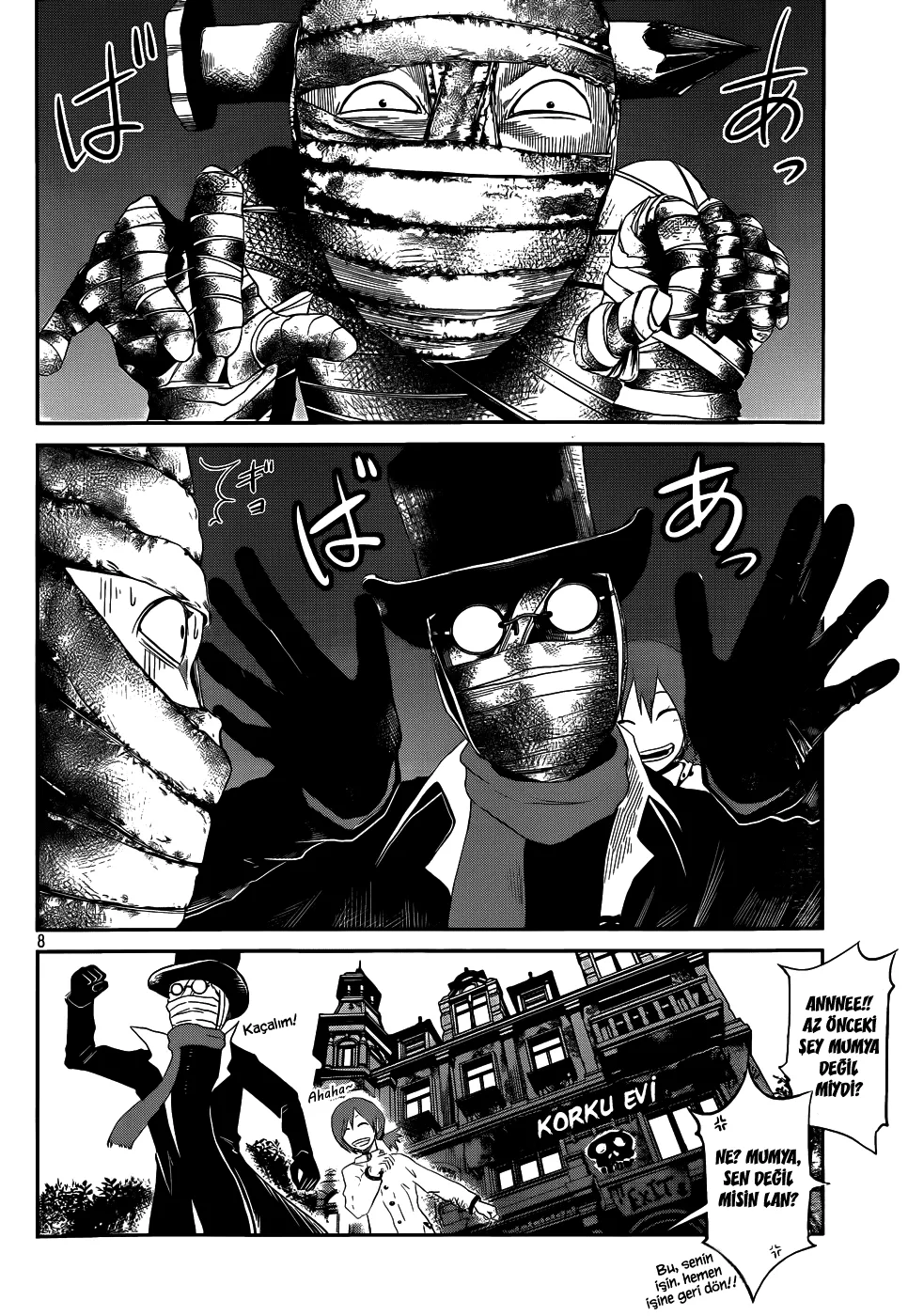 Sayfa 8