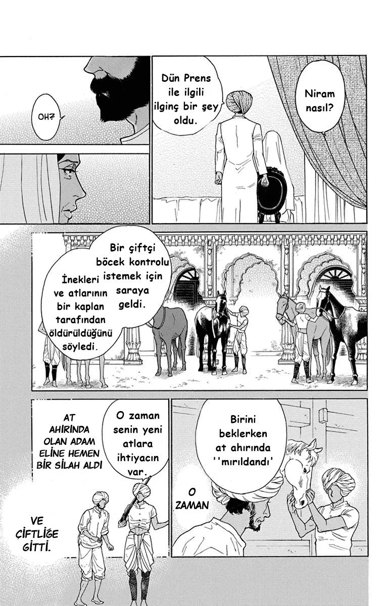 Sayfa 17