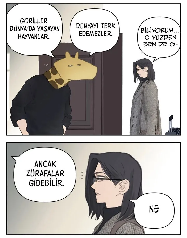 Sayfa 38