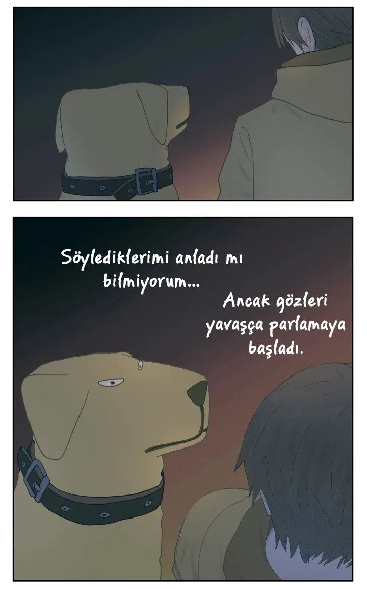 Sayfa 11