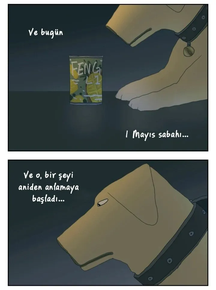 Sayfa 8