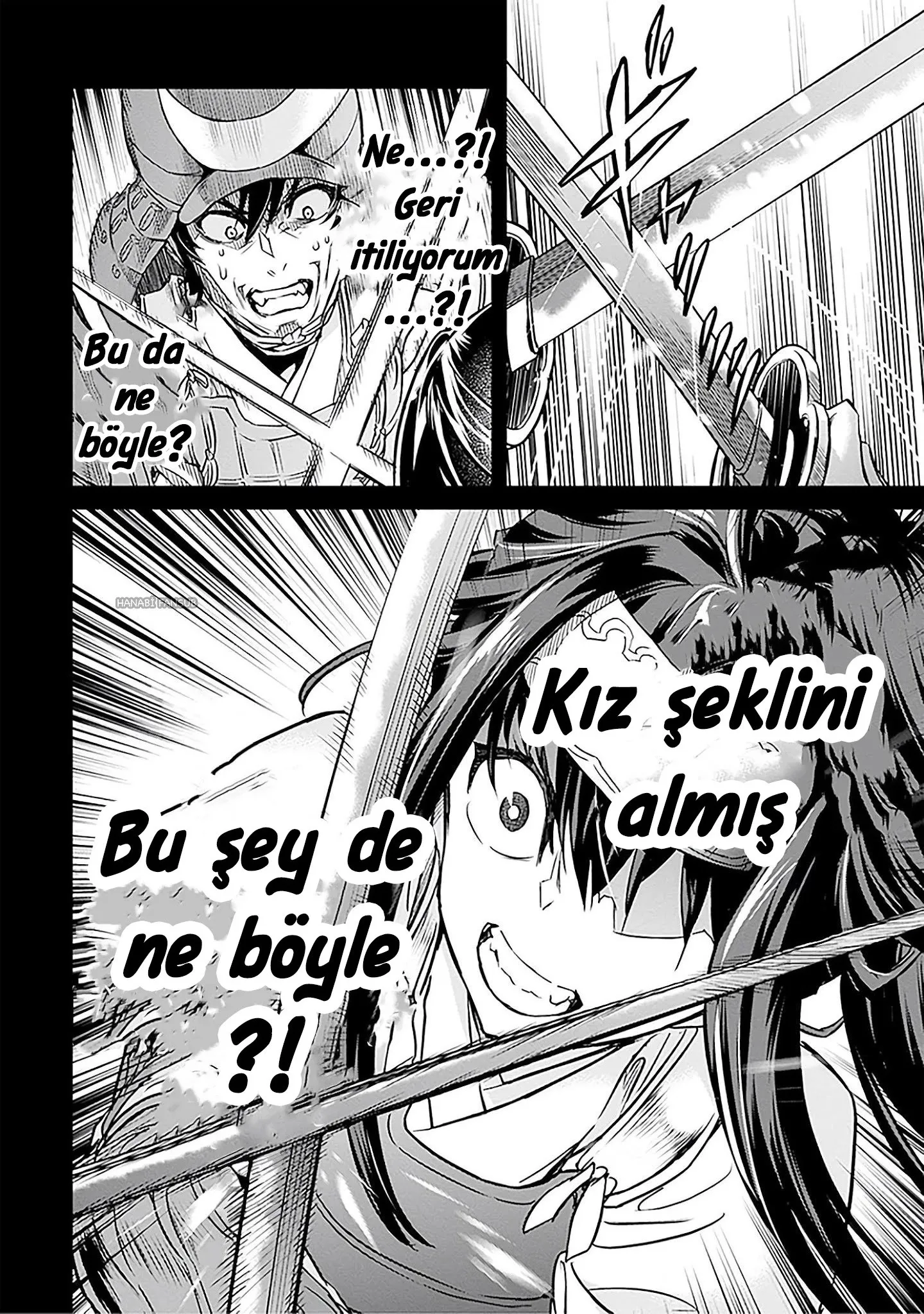 Sayfa 17