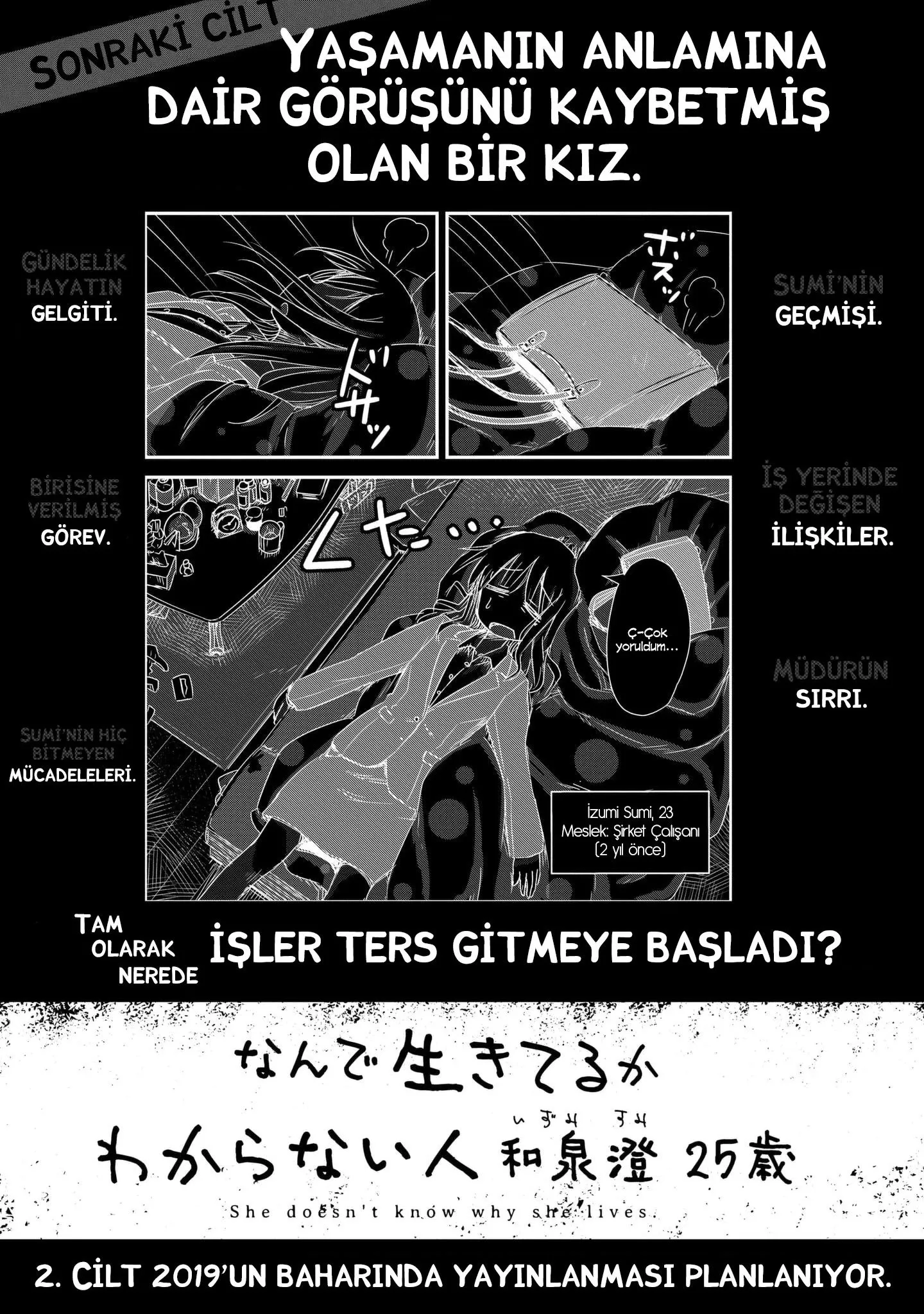 Sayfa 13