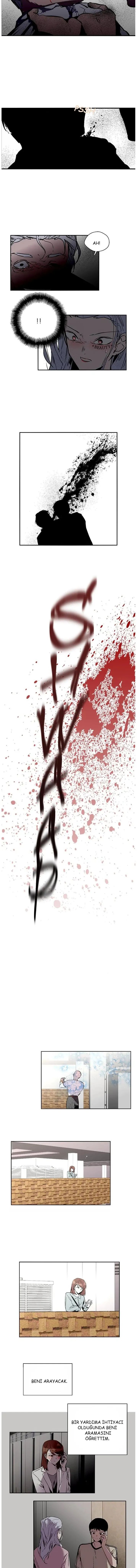 Sayfa 8