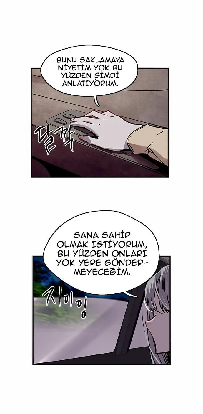 Sayfa 17