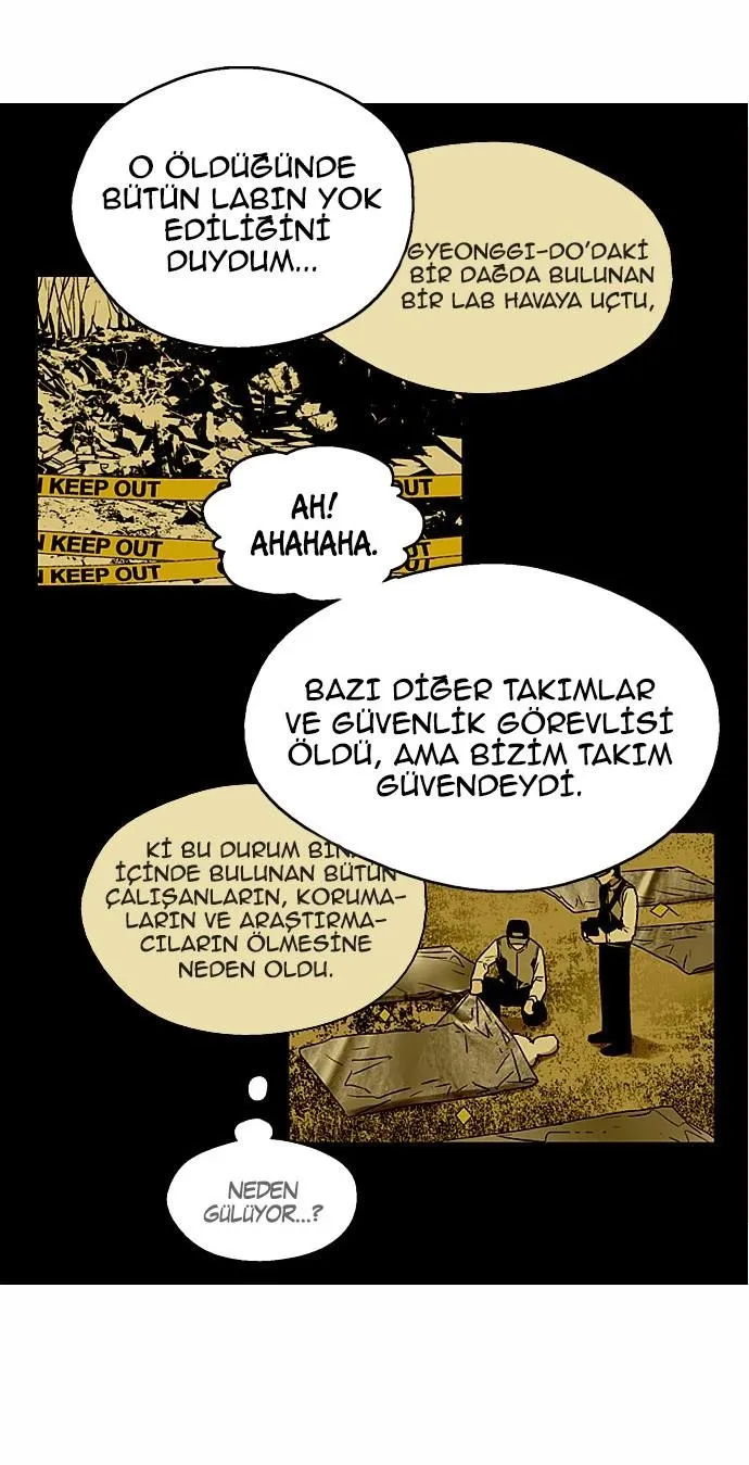 Sayfa 17