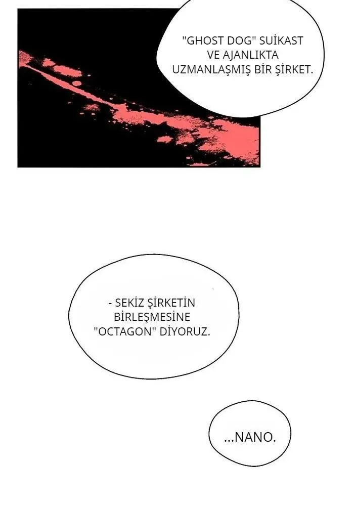 Sayfa 17