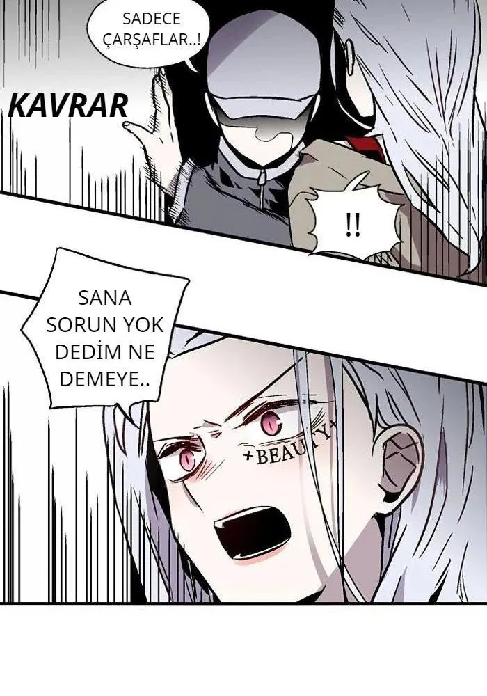 Sayfa 17