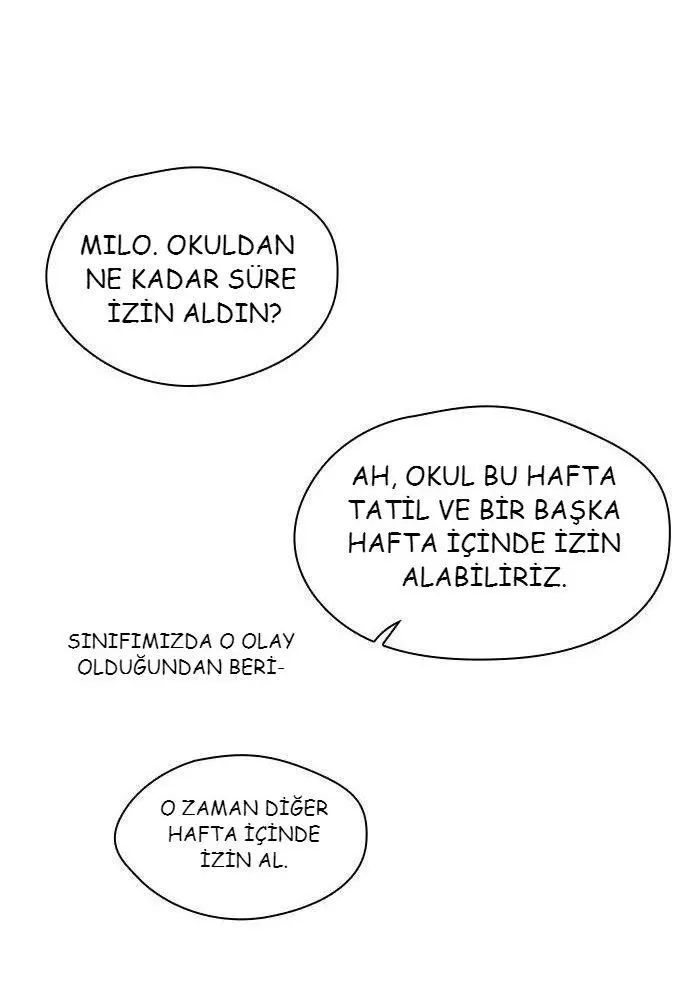 Sayfa 17