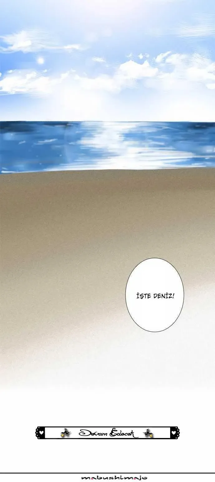 Sayfa 17