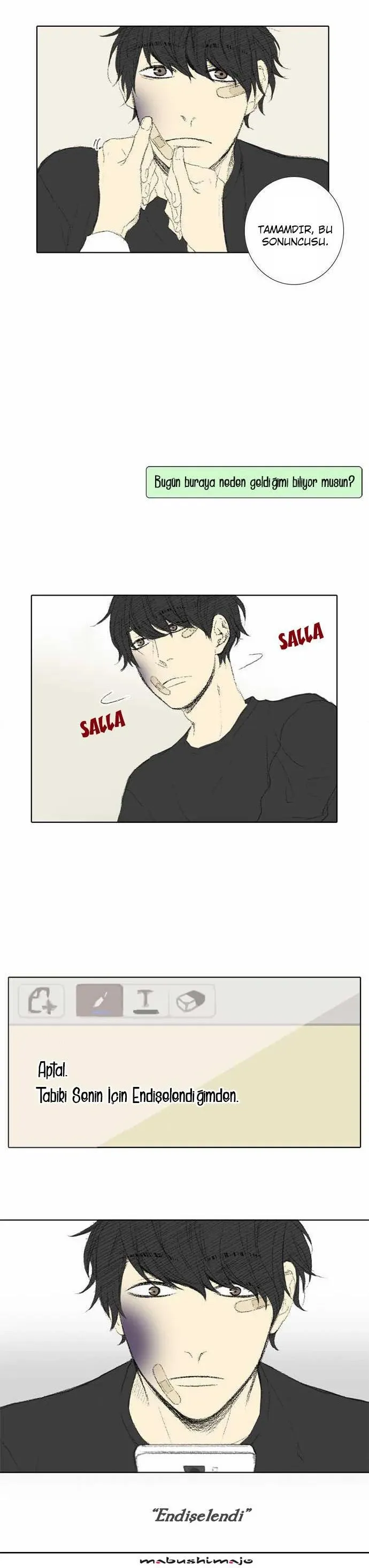 Sayfa 8