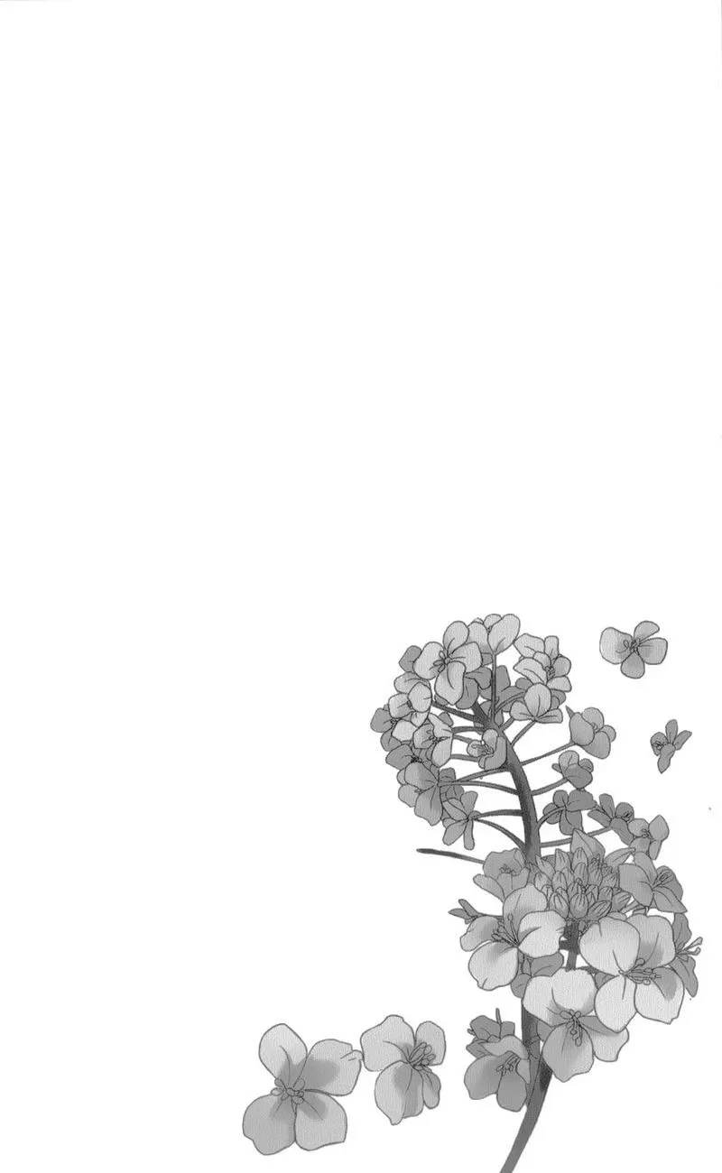 Sayfa 4