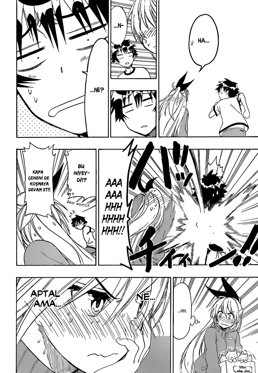 Sayfa 13