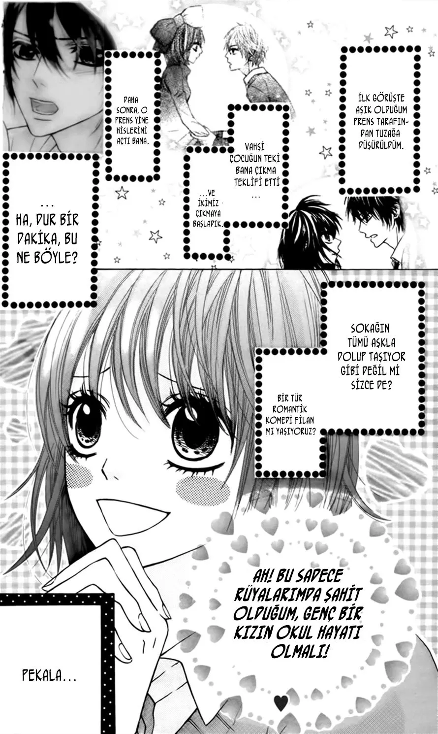 Sayfa 4