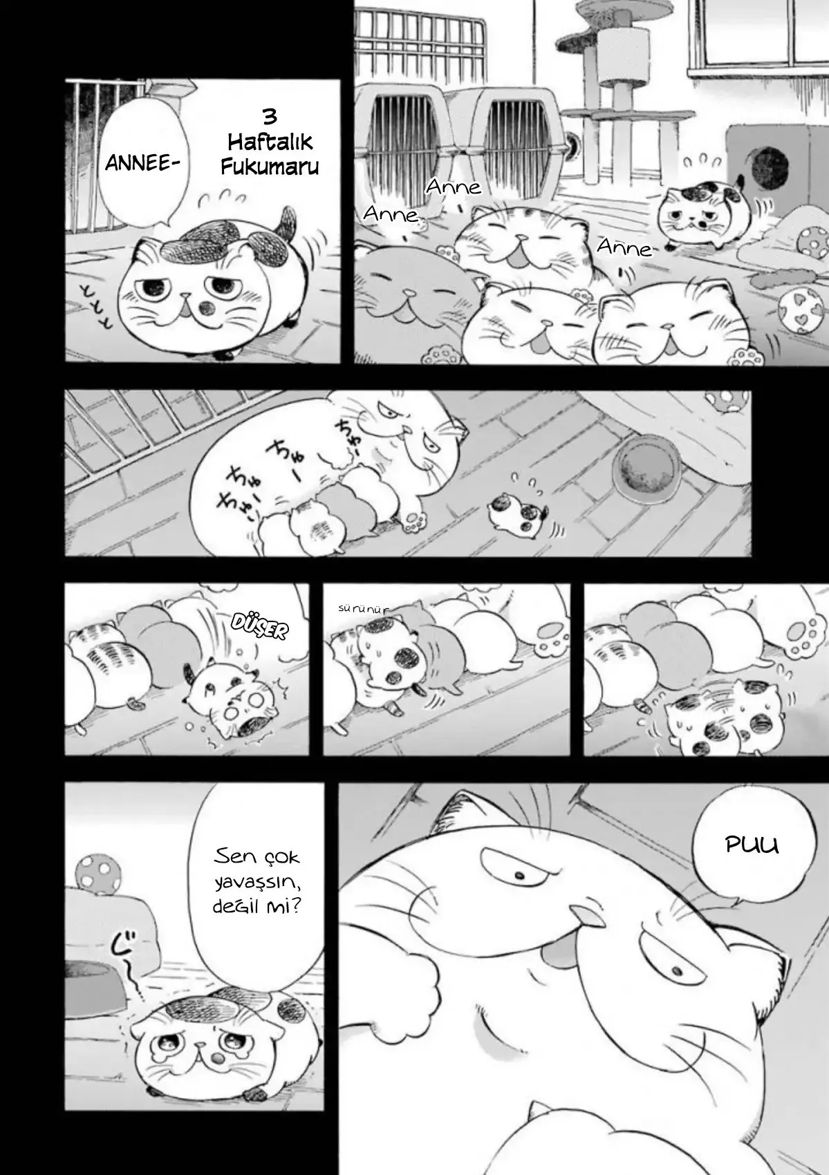 Sayfa 3
