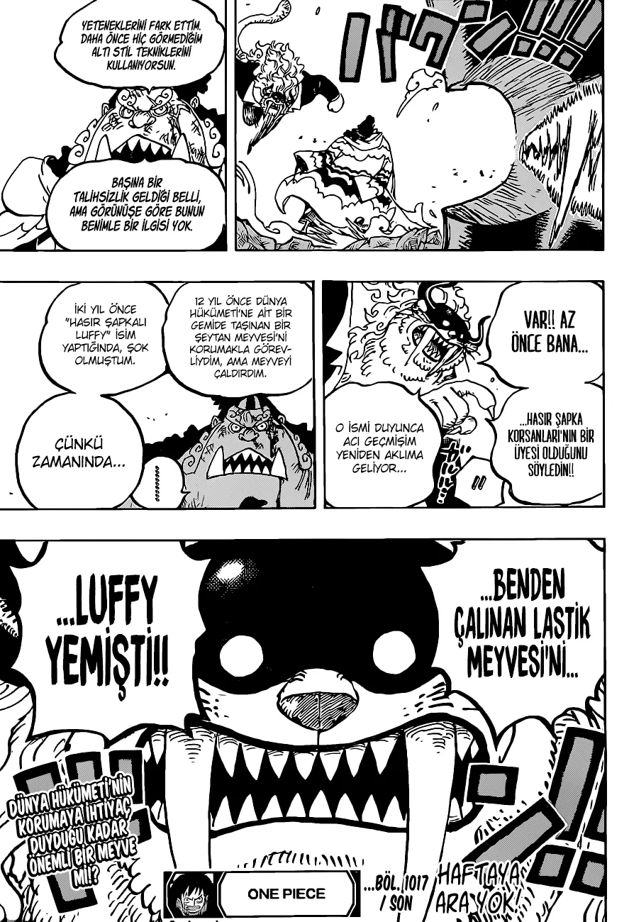Sayfa 17