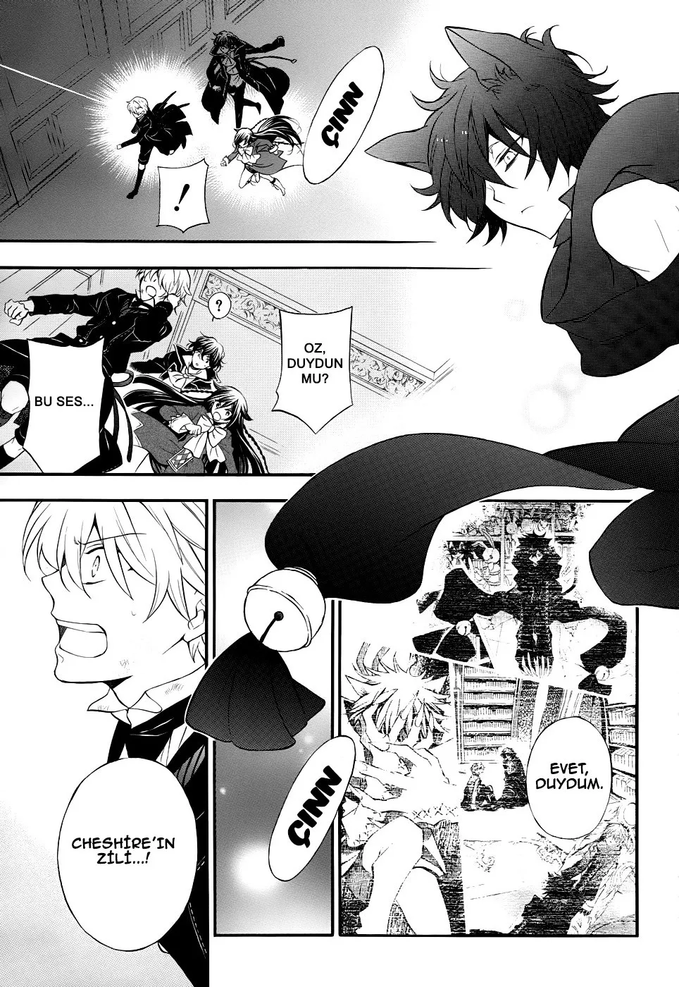 Sayfa 5