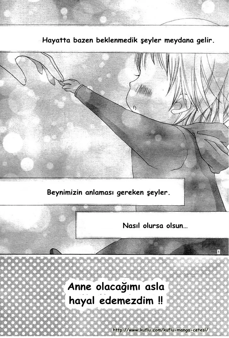 Sayfa 4