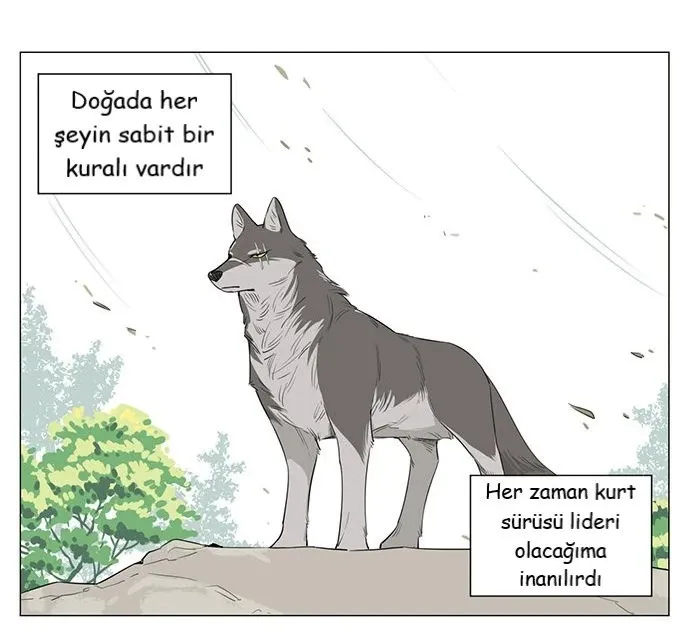 Sayfa 1
