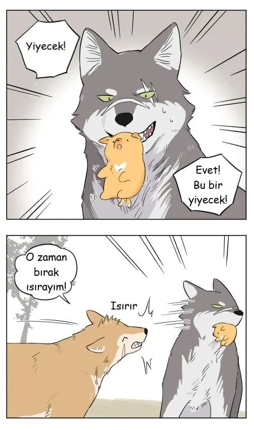 Sayfa 9