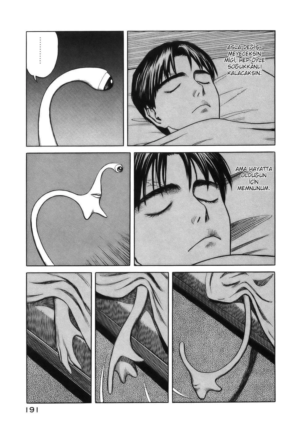 Sayfa 5