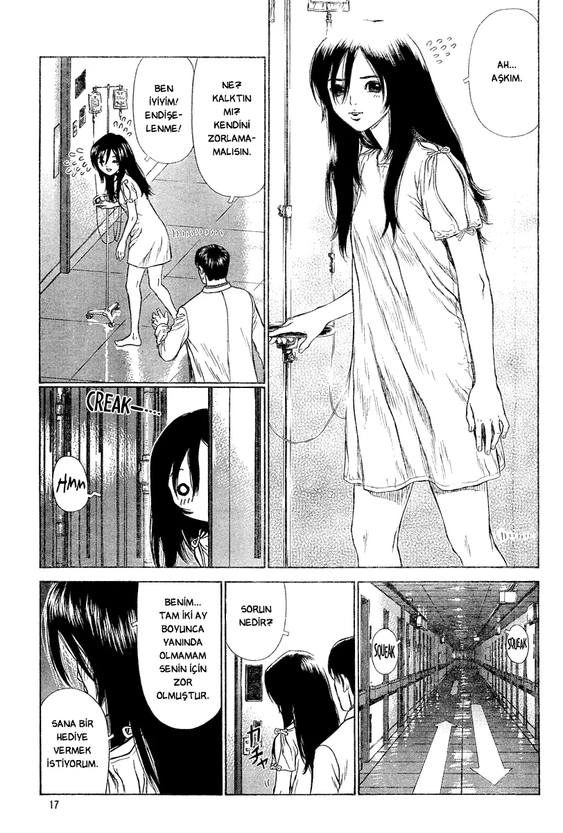 Sayfa 17