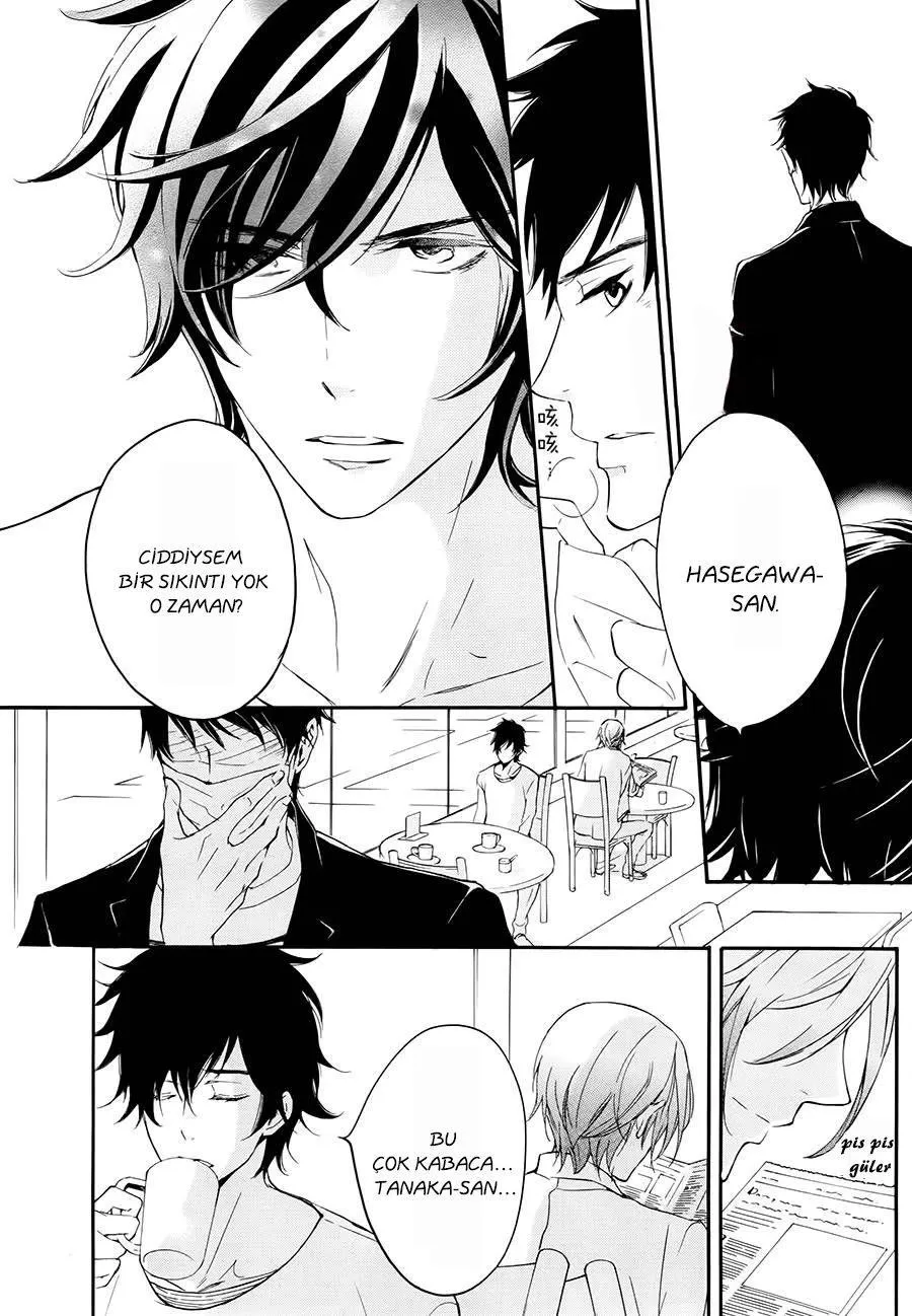 Sayfa 31