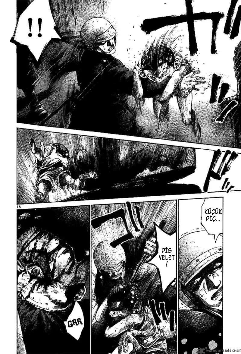 Sayfa 17