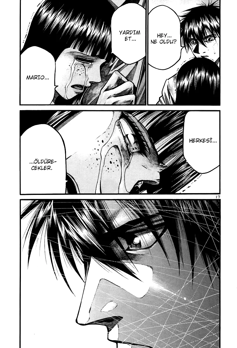 Sayfa 17