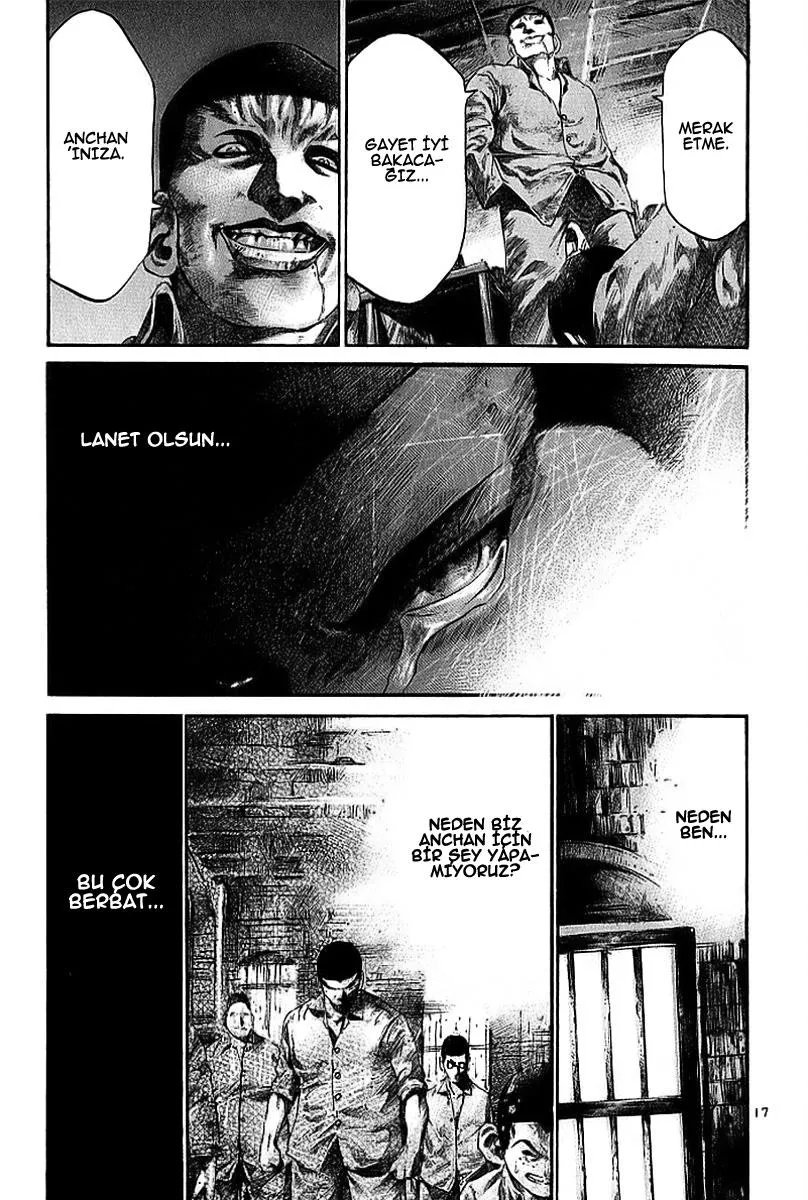 Sayfa 17
