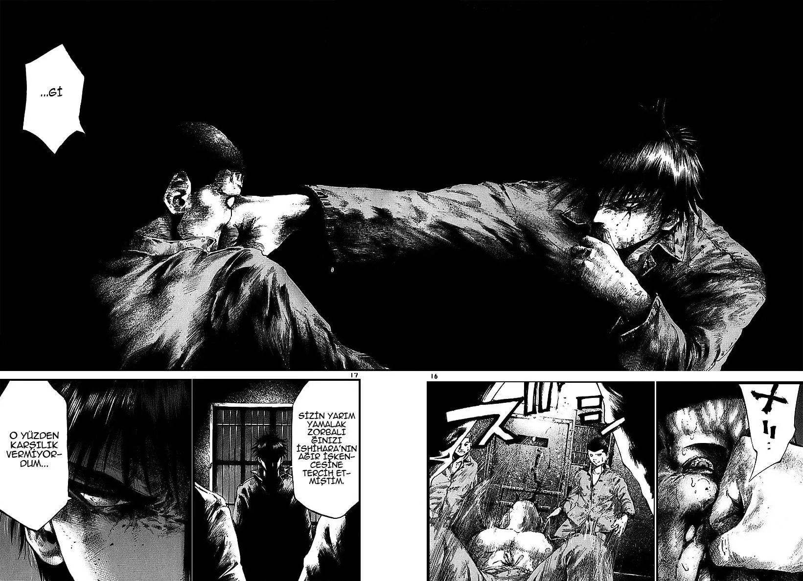 Sayfa 17