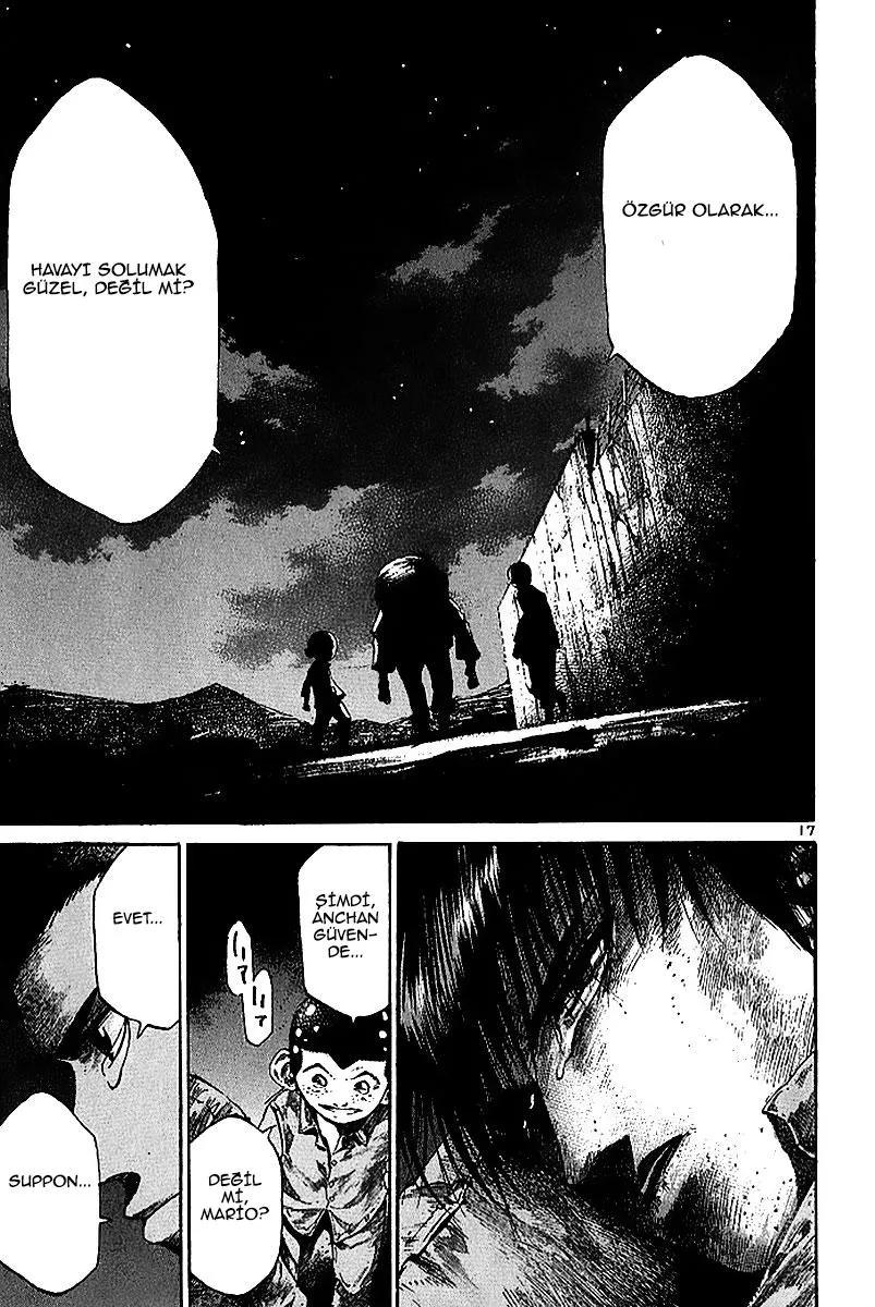 Sayfa 17