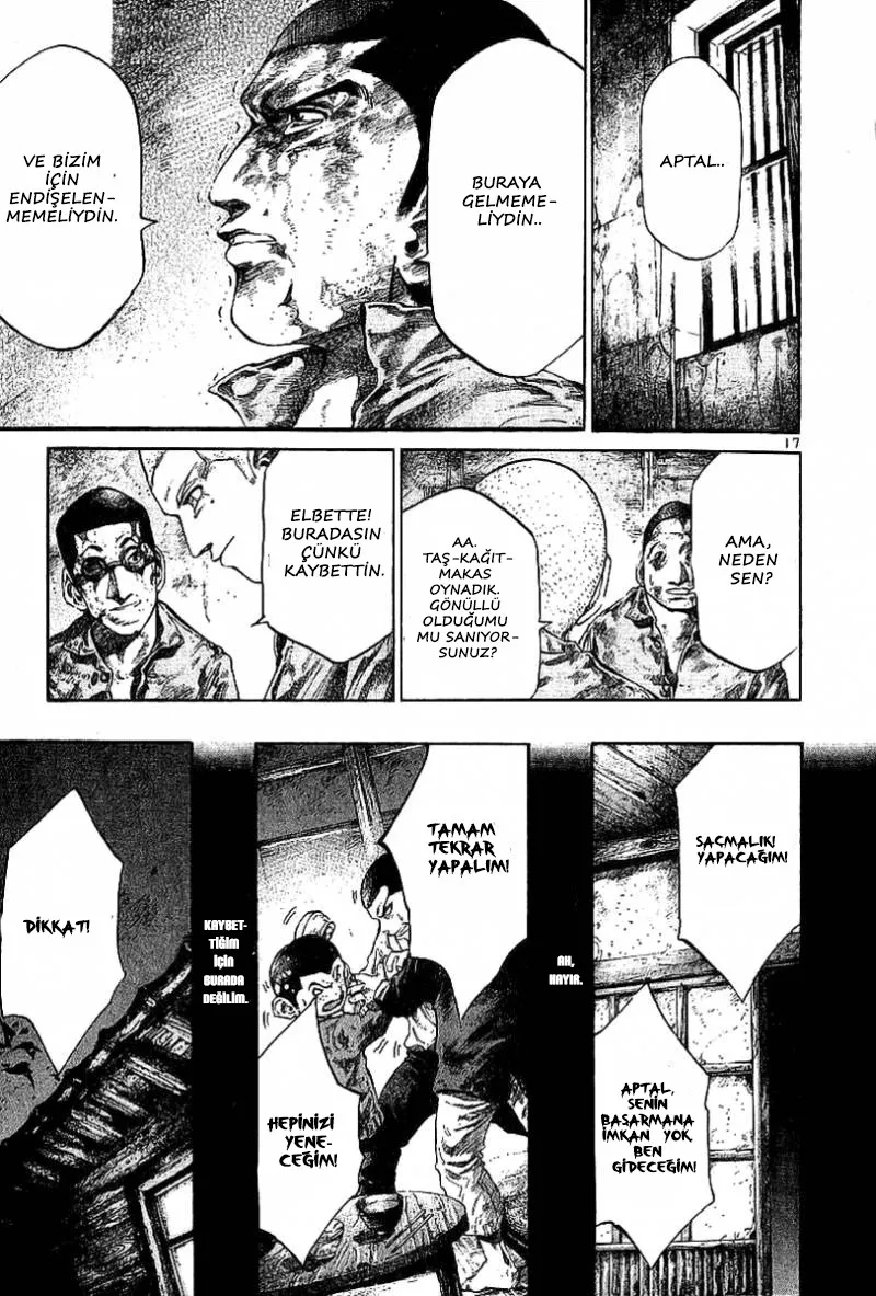 Sayfa 17