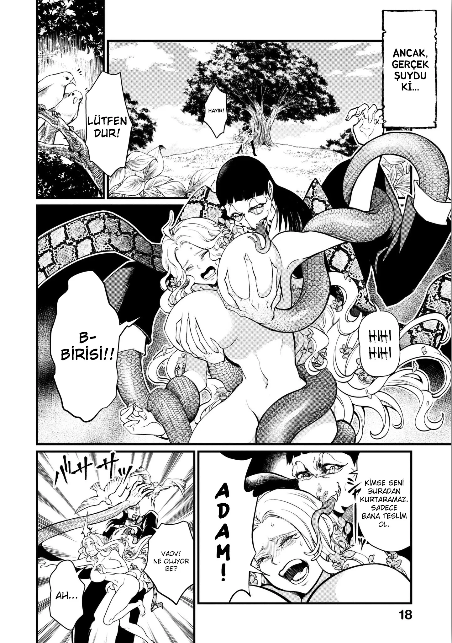 Sayfa 18