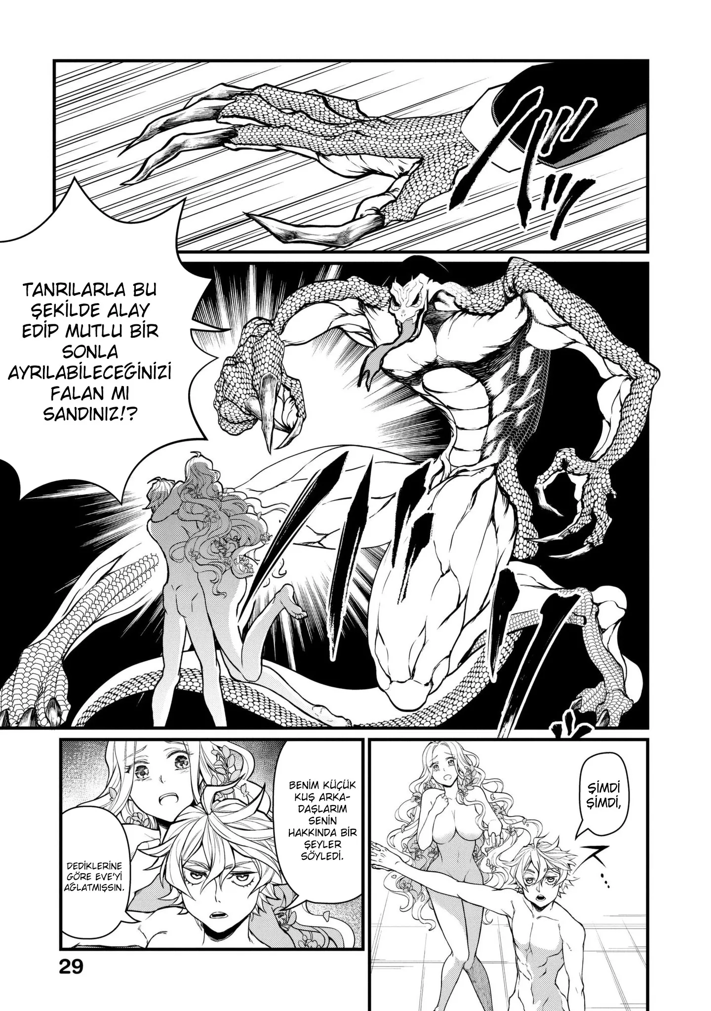 Sayfa 29