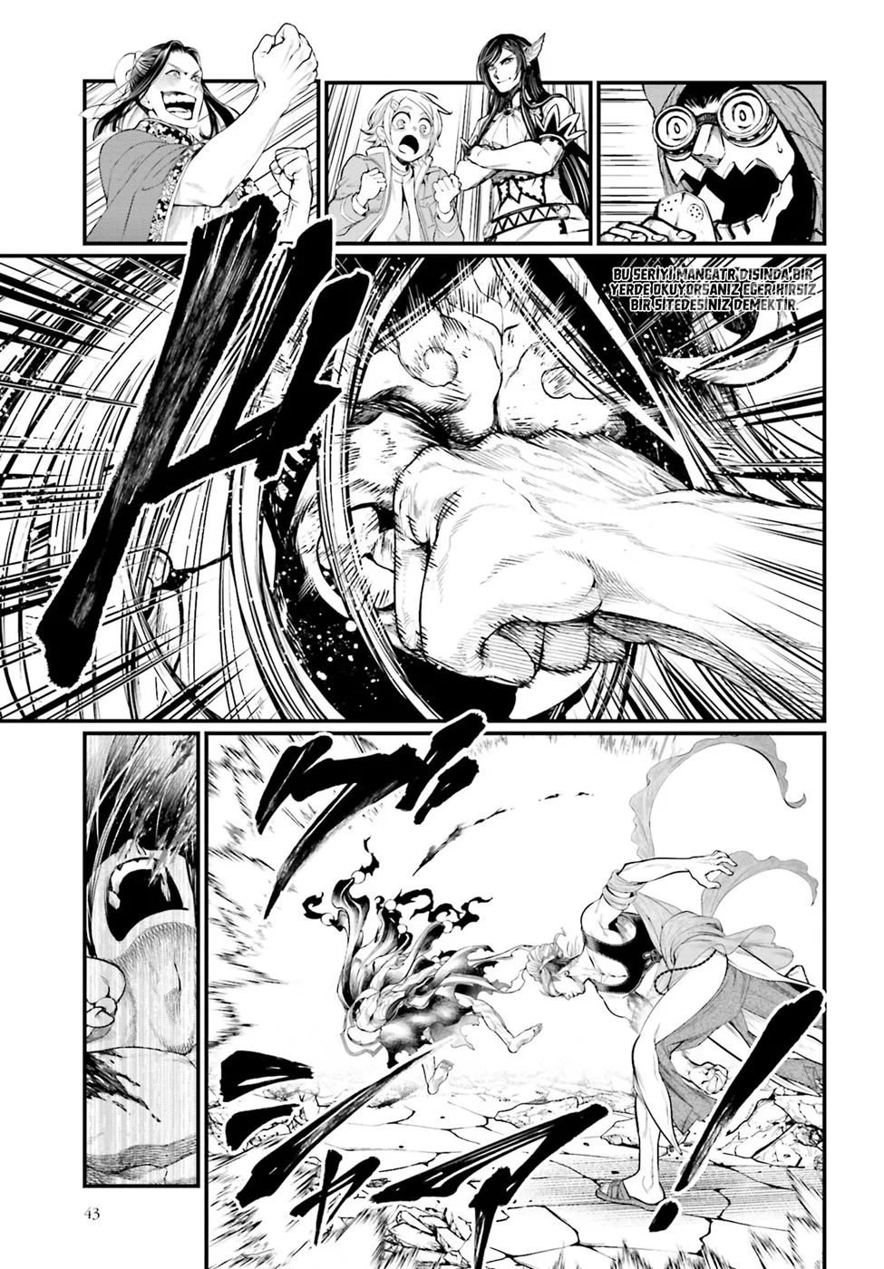 Sayfa 43